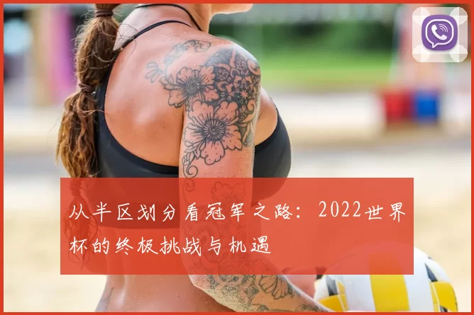 从半区划分看冠军之路：2022世界杯的终极挑战与机遇