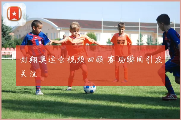 刘翔奥运会视频回顾 赛场瞬间引发关注