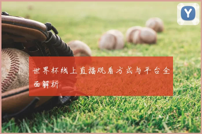 世界杯线上直播观看方式与平台全面解析