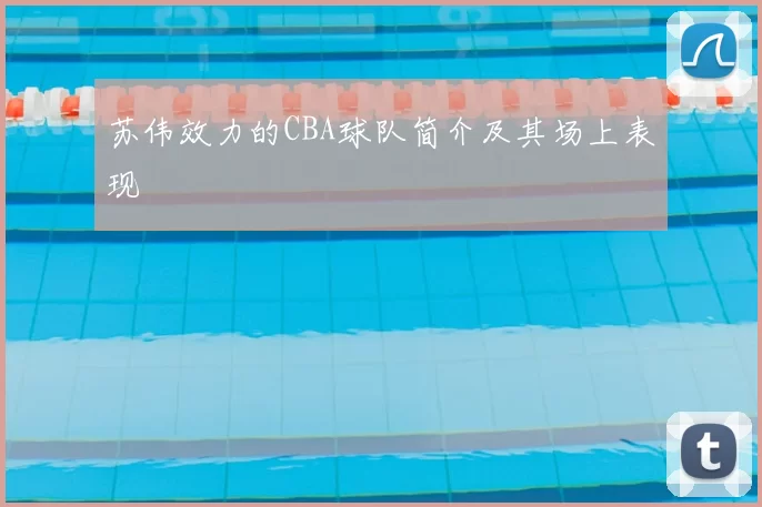 苏伟效力的CBA球队简介及其场上表现