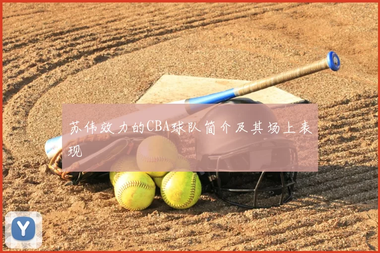 苏伟效力的CBA球队简介及其场上表现