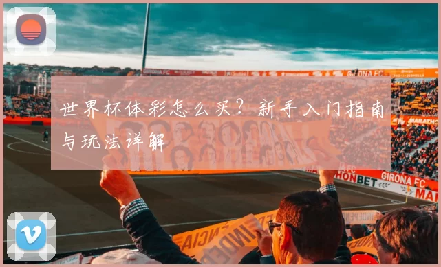世界杯体彩怎么买?新手入门指南与玩法详解