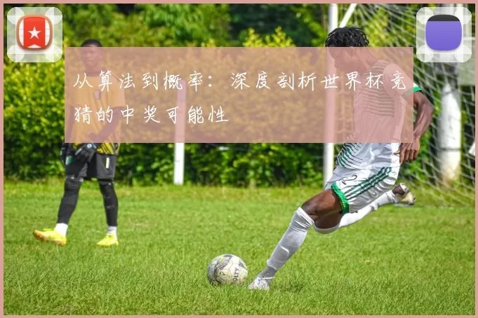 从算法到概率：深度剖析世界杯竞猜的中奖可能性