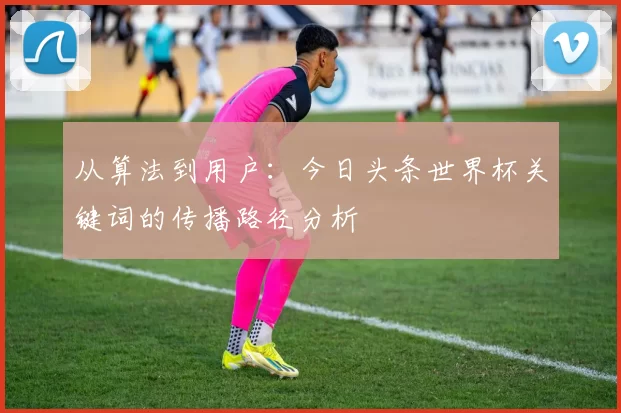 从算法到用户：今日头条世界杯关键词的传播路径分析