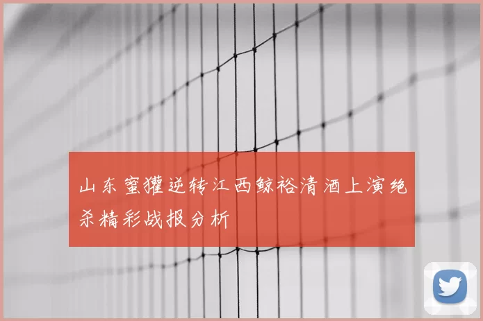 山东蜜獾逆转江西鲸裕清酒上演绝杀精彩战报分析
