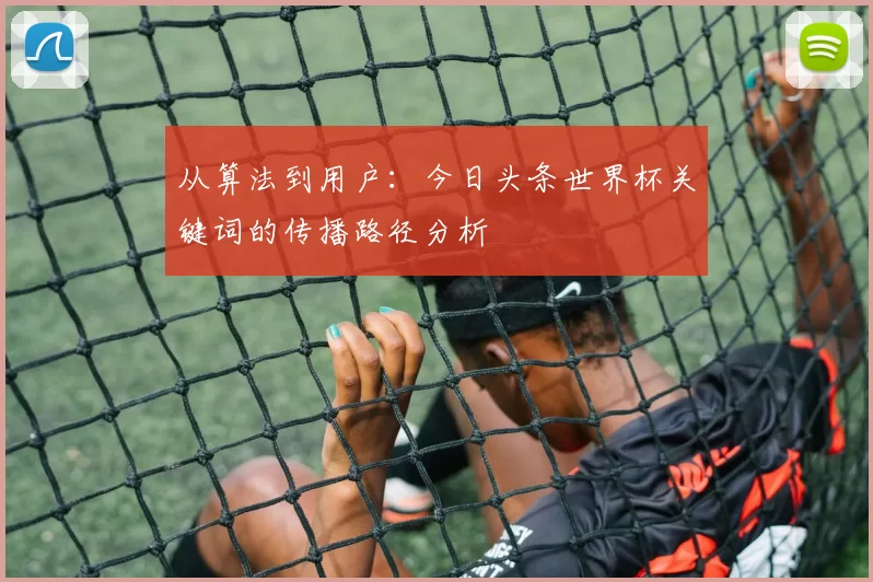 从算法到用户:今日头条世界杯关键词的传播路径分析