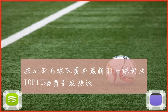 深圳羽毛球队勇夺最新羽毛球耐力TOP10榜首引发热议
