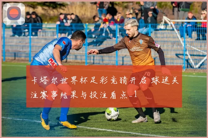 卡塔尔世界杯足彩竞猜开启 球迷关注赛事结果与投注看点_1